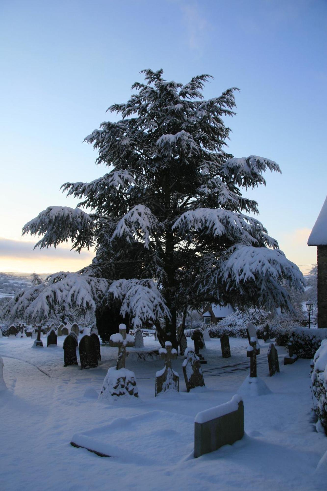 The Belfry At Yarcombe Bed and Breakfast Εξωτερικό φωτογραφία